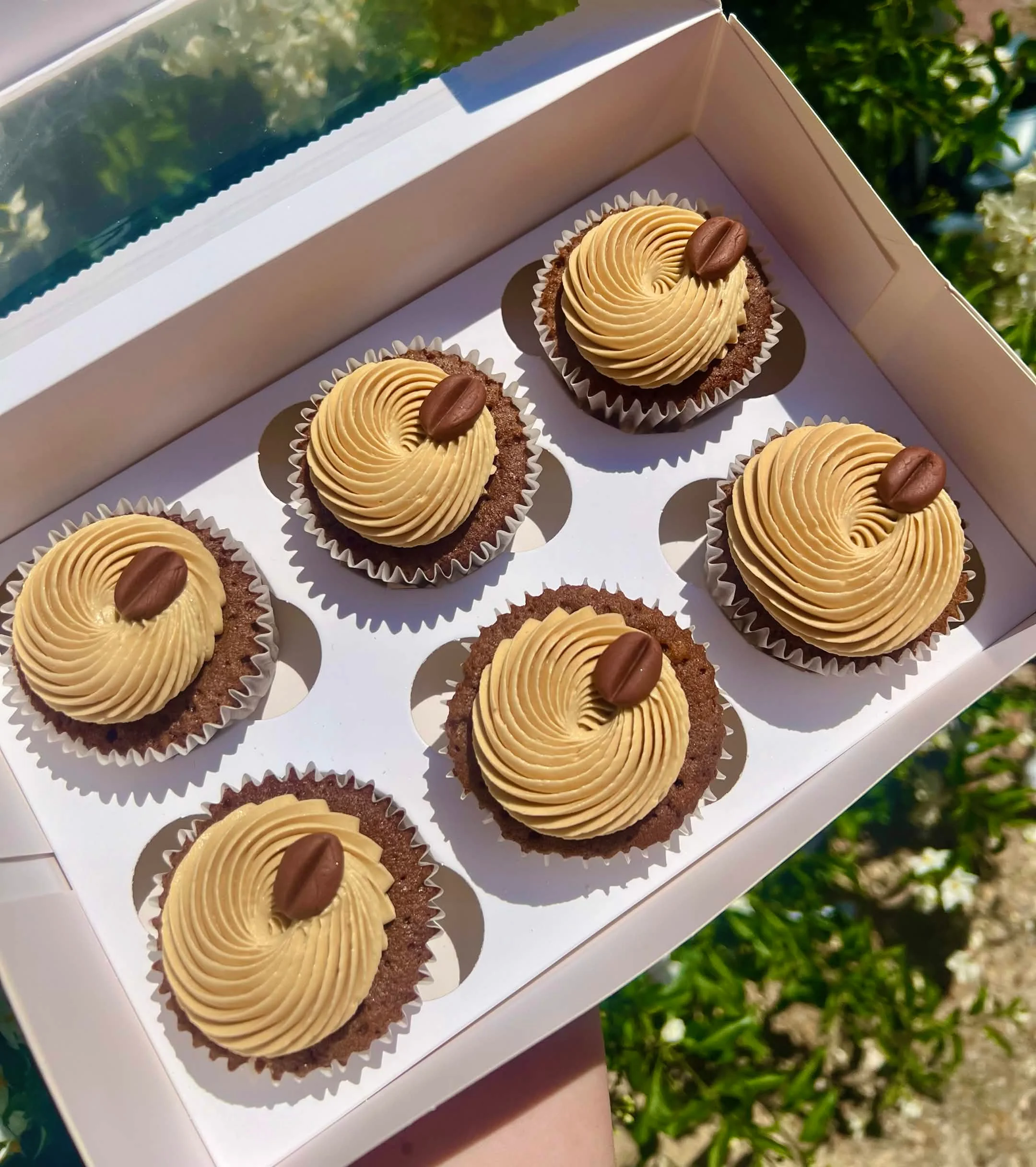 Coffee and Walnut Cupcake Box